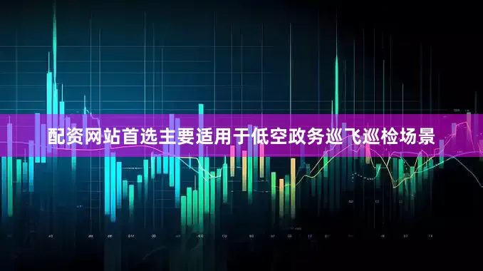 配资网站首选主要适用于低空政务巡飞巡检场景