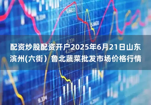 配资炒股配资开户2025年6月21日山东滨州(六街）鲁北蔬菜批发市场价格行情
