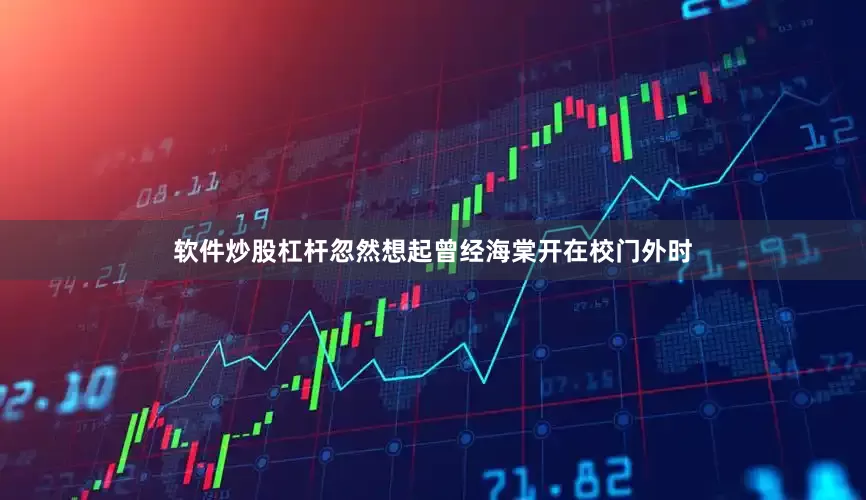 软件炒股杠杆忽然想起曾经海棠开在校门外时