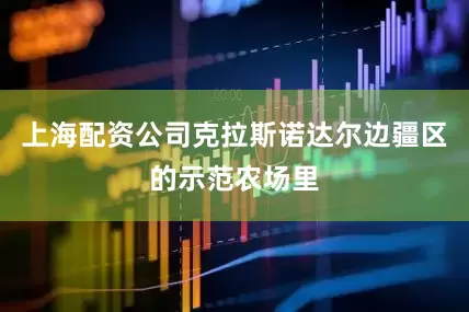 上海配资公司克拉斯诺达尔边疆区的示范农场里