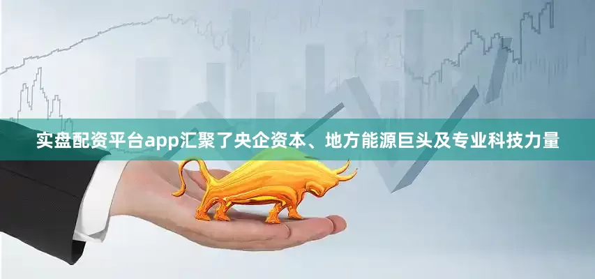 实盘配资平台app汇聚了央企资本、地方能源巨头及专业科技力量