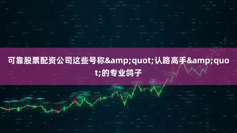 可靠股票配资公司这些号称&quot;认路高手&quot;的专业鸽子