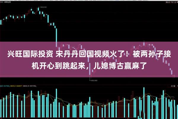 兴旺国际投资 宋丹丹回国视频火了！被两孙子接机开心到跳起来，儿媳博古赢麻了