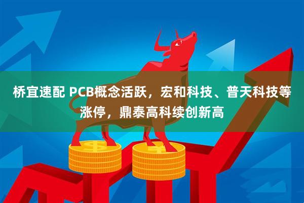 桥宜速配 PCB概念活跃，宏和科技、普天科技等涨停，鼎泰高科续创新高